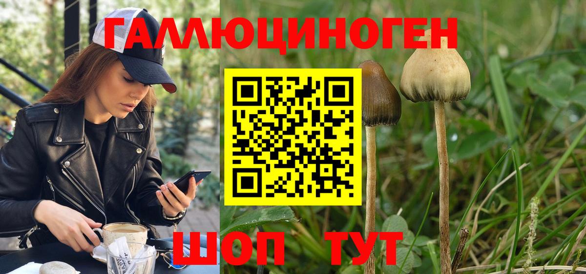 Псилоцибиновые грибы ЛСД  Вход с VPN  Канаш 