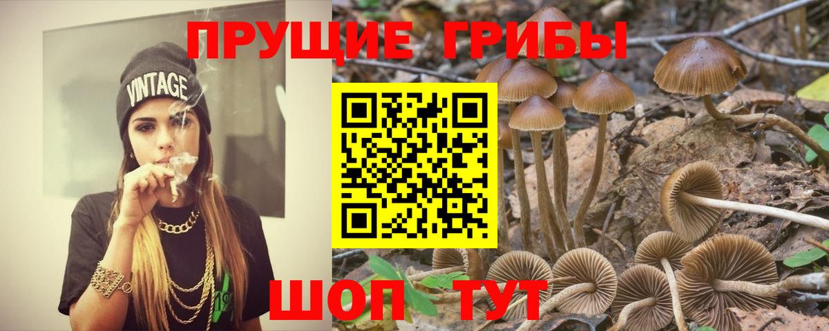Галлюциногенные грибы мицелий Канаш